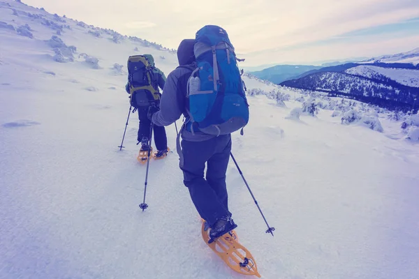 Senderistas en las montañas de invierno —  Fotos de Stock