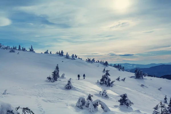 Randonneurs dans les montagnes d'hiver — Photo