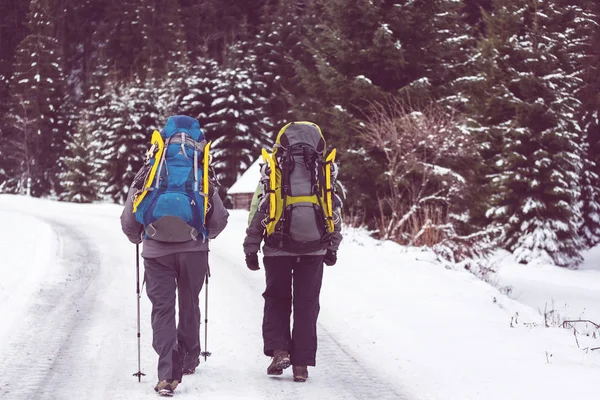 Caminhantes nas montanhas de inverno — Fotografia de Stock