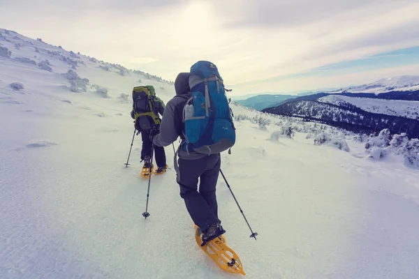 Escursionisti nelle montagne invernali — Foto Stock