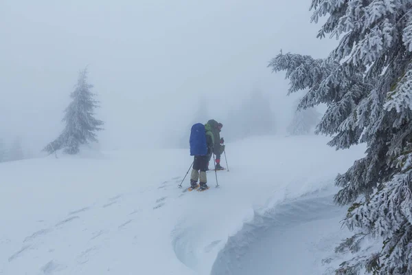 Senderistas en las montañas de invierno —  Fotos de Stock