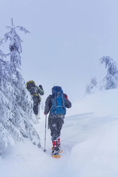 Hikers in the winter mountains — Stock Photo, Image