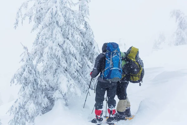 Caminhantes nas montanhas de inverno — Fotografia de Stock