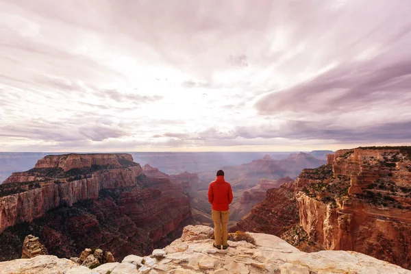 Człowiek w Grand Canyon — Zdjęcie stockowe