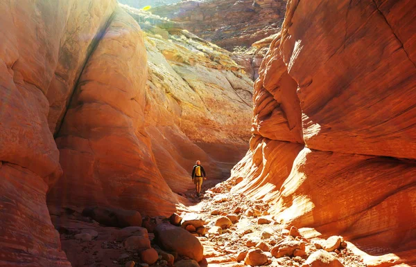 Hombre en Happy canyon — Foto de Stock