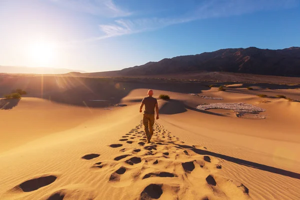 Hiker in sand desert — Stock Photo, Image