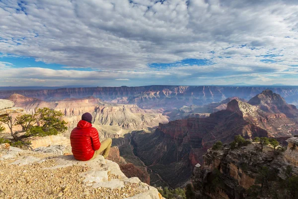 Hombre de excursión en el Gran Cañón —  Fotos de Stock