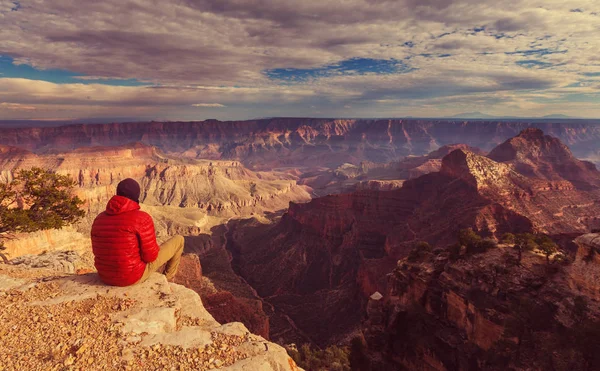 Człowiek w wycieczka w Grand Canyon — Zdjęcie stockowe