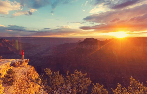 Człowiek w wycieczka w Grand Canyon — Zdjęcie stockowe