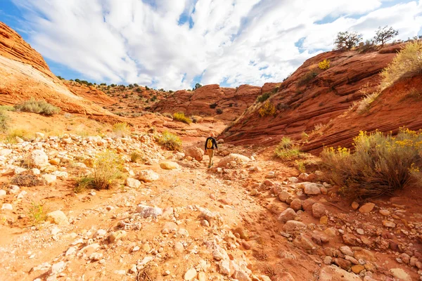 Caminhada nas montanhas do Utah — Fotografia de Stock