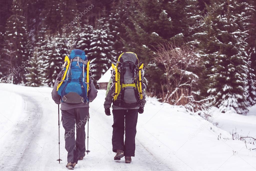 Hikers in the winter mountains