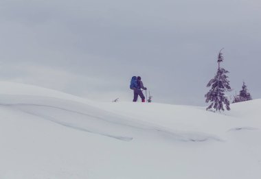Uzun yürüyüşe çıkan kimse kış dağlarda