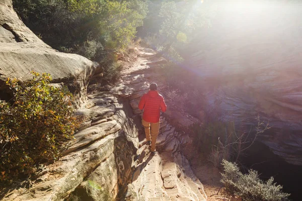 Homem Caminhada no Parque Nacional de Zion — Fotografia de Stock