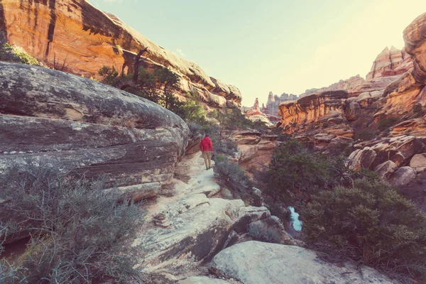Поход человека в национальный парк Сион — стоковое фото