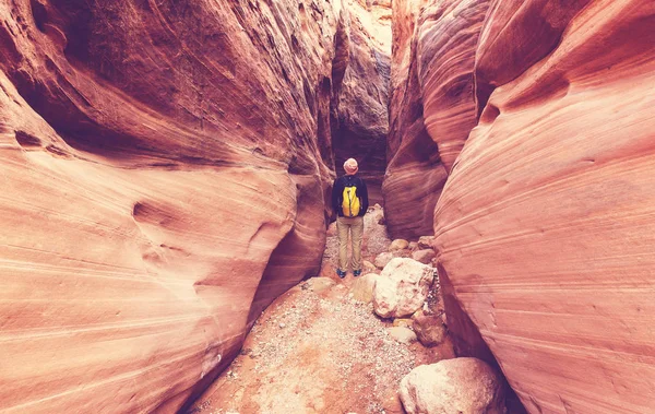 Hombre en la barranca de la ranura en el Parque Nacional Grand escalera
