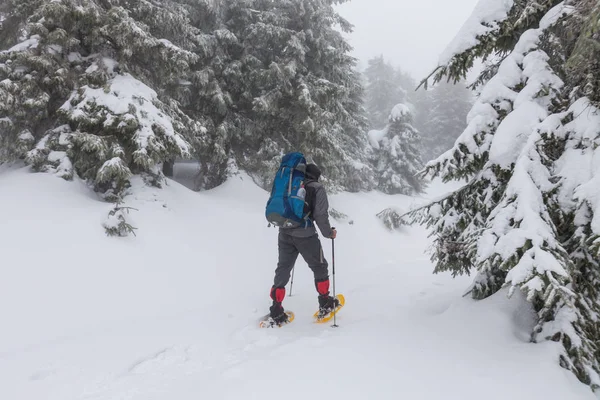 Senderista en las montañas de invierno — Foto de Stock