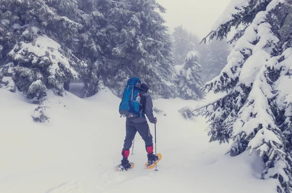 Hiker in the winter mountains — Stock Photo, Image