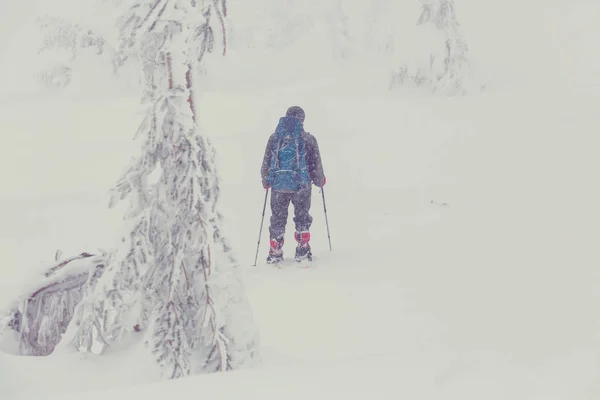 Wandelaar in de bergen winter — Stockfoto
