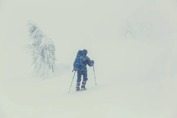 Vandrare i vinter bergen — Stockfoto