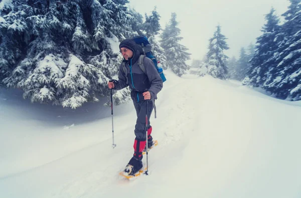 Escursionista nelle montagne invernali — Foto Stock