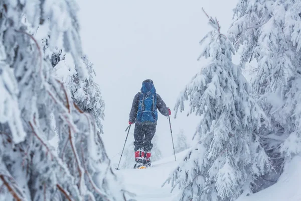 Caminhante nas montanhas de inverno — Fotografia de Stock