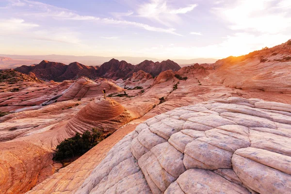 Zandsteen formaties in utah — Stockfoto