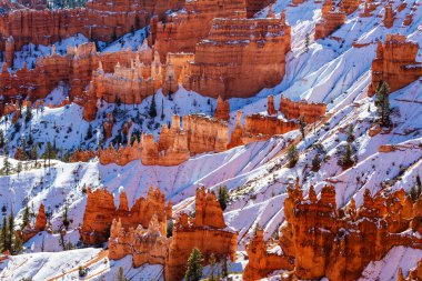 Bryce Kanyonu Kış mevsiminde karlı
