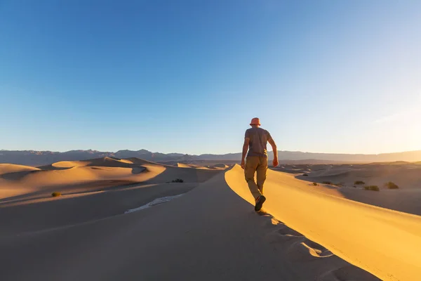 Caminhante no deserto de areia — Fotografia de Stock