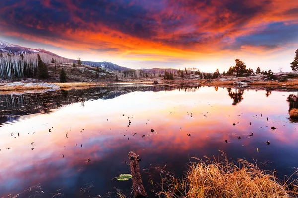 Západ slunce scéna na jezeře — Stock fotografie