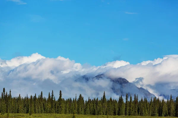 Berg på Alaska vacker utsikt — Stockfoto