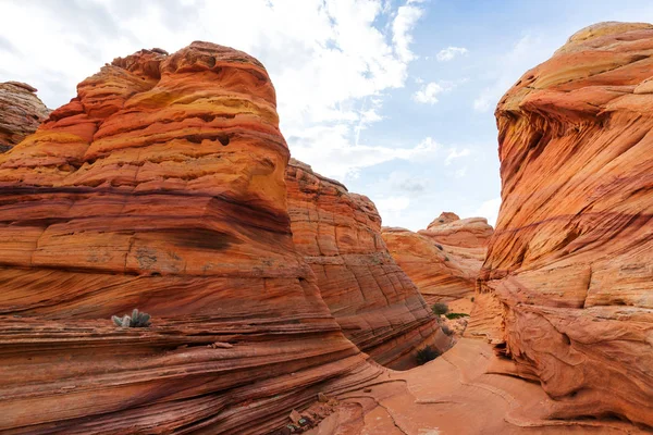 주홍 색 절벽의 코요테 Buttes — 스톡 사진