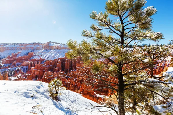 Bryce canyon  with snow in winter season — Stock Photo, Image