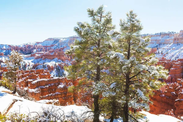 Bryce canyon  with snow in winter season — Stock Photo, Image