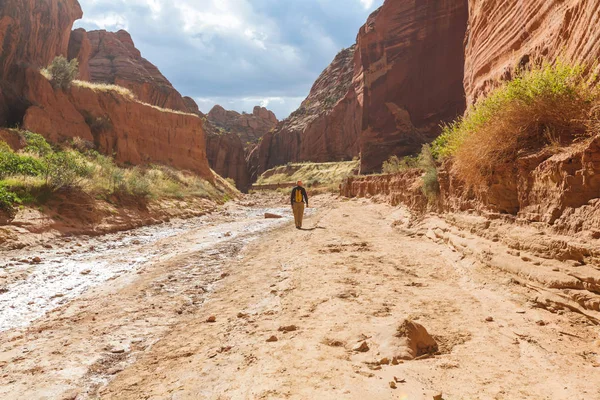 Adam Hiker dağlarda — Stok fotoğraf