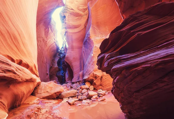 Ranura cañón en Gran Escalera Escalante Parque Nacional —  Fotos de Stock