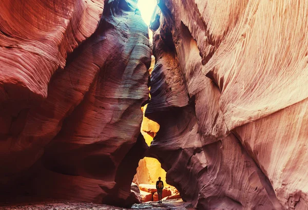 Слот каньйону в Grand сходи за собою право попередньо Національний парк — стокове фото