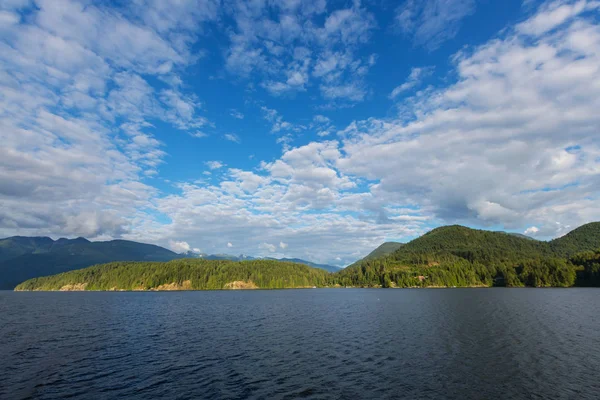 Floresta tropical na ilha de Vancouver — Fotografia de Stock