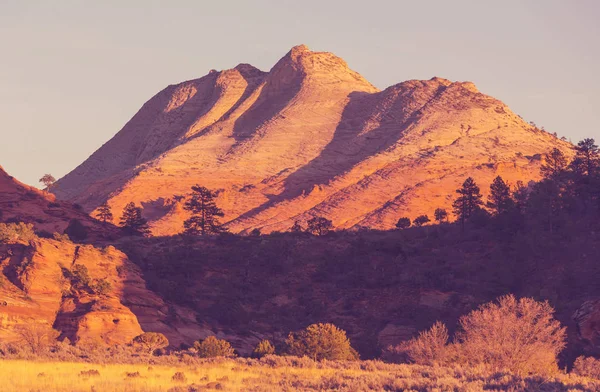 Zion national park — Stok fotoğraf