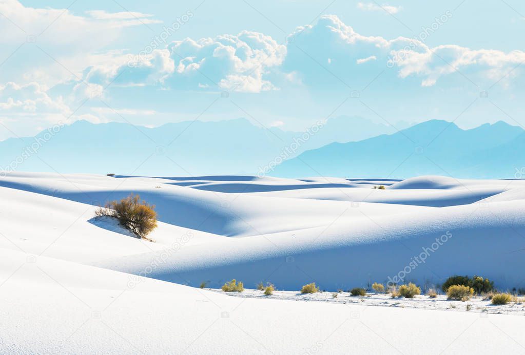 Unusual White Sand Dunes