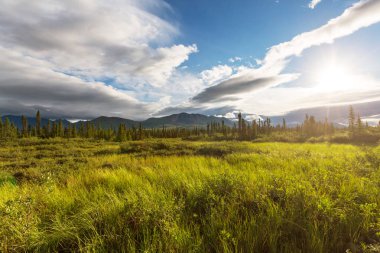 Alaska 'daki dağlar, Amerika Birleşik Devletleri