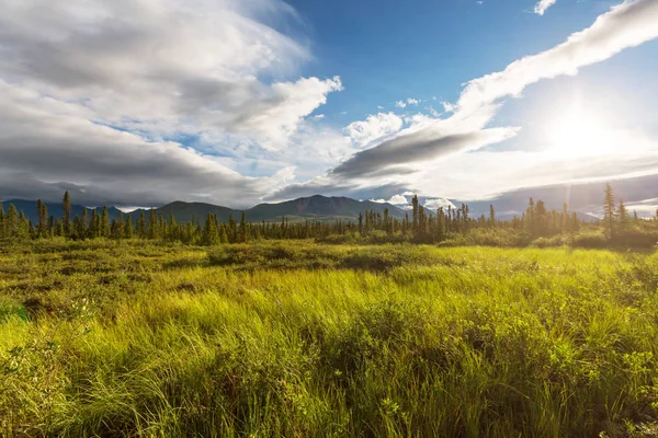 Montagnes en Alaska, États-Unis — Photo