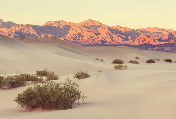 Beautiful sand dunes — Stock Photo, Image