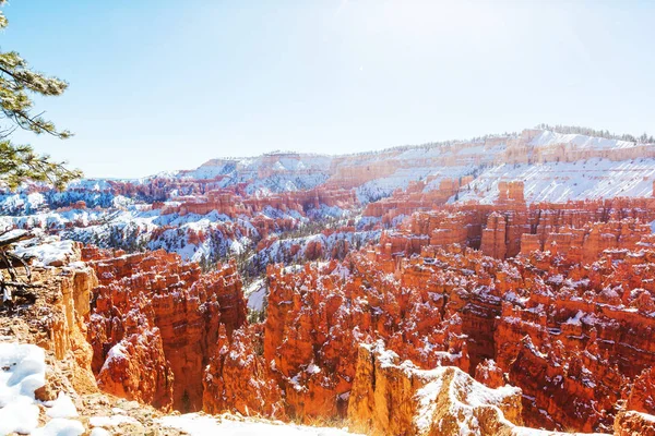 Winter Bryce canyon — Stock Photo, Image