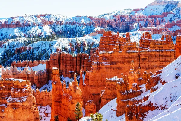 Inverno Bryce canyon — Foto Stock