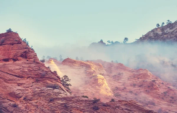 Zion national park — Stok fotoğraf