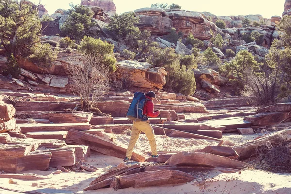 Adam Hiker dağlarda — Stok fotoğraf