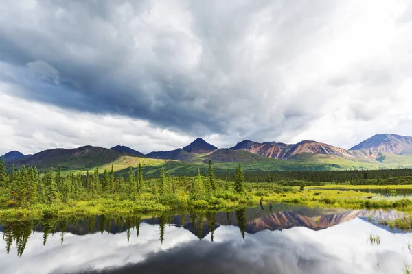 Serenity lake in tundra — Stock Photo, Image