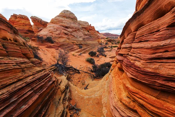 Coyote Buttes, Vermillion sziklák — Stock Fotó