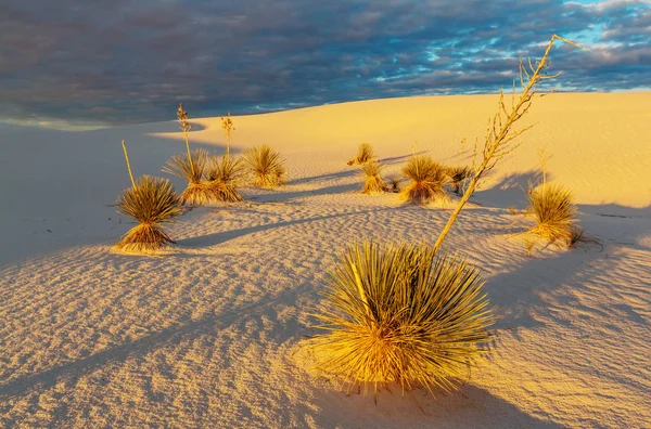Neobvyklé bílé písečné duny — Stock fotografie