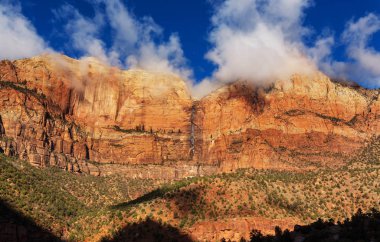Zion national park 